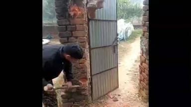 बिरनी: कोर्ट के आदेश पर फरार अभियुक्तों के घर कुर्की-जब्ती, ओपी पुलिस की कार्रवाई