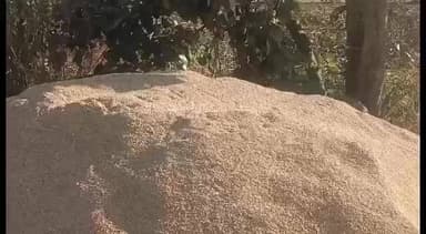 धनोरा: धनोरा तहसील के धान खरीदी केंद्रों में किसान परेशान