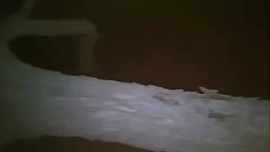 श्रीडूंगरगढ़: मोमासर में सोलर प्लांट के नाम पर खेजड़ी की कटाई, ग्रामीणों में आक्रोश