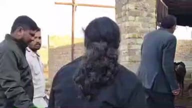 रायसिंहनगर: रायसिंहनगर के भोमपुरा गौशाला में 100 से अधिक गोवंश की मौत, क्षेत्र व गो प्रेमियों में भारी आक्रोश