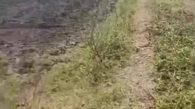 खाचरौद: 181 सीएम हेल्पलाइन पर झूठी शिकायत से भूमि मालिक परेशान, पुलिस से सुरक्षा की गुहार