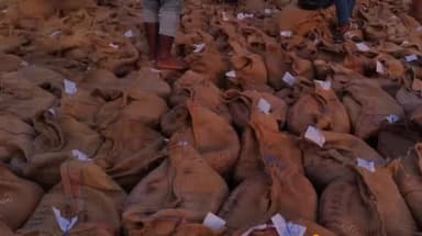 चुरहट: चुरहट क्षेत्र के कठौतहा धान खरीदी केंद्र में किसानों की भीड़ बढ़ी, समर्थन मूल्य पर हो रही खरीदी