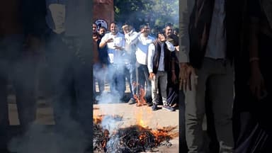 कांग्रेसी पहुंचे पुतले के साथ कलेक्ट्रेट पर#satyawadimedia #dausaviralvideo #rahulgandhi #boltadausa