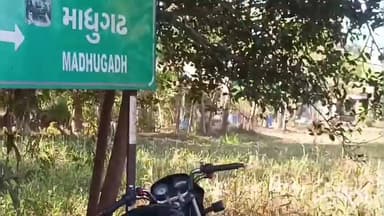 ખેરાલુ: માધુગઢ ગામે પશુના ઢાળિયાથી કોબરા સાપ રેસ્ક્યૂ કરાયો