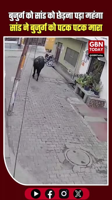 बुलंदशहर में सांड ने बुजुर्ग पर हमला किया, घायल व्यक्ति अस्पताल में भर्ती #Bulandshahr #UPNews #BullAttack #AnimalAttack