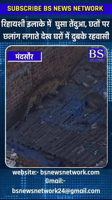 रिहायशी इलाके में घुसा तेंदुआ, छतों पर
छलांग लगाते देख घरों में दुबके रहवासी
#mandsor #mandsornews #bsnewsnetwork