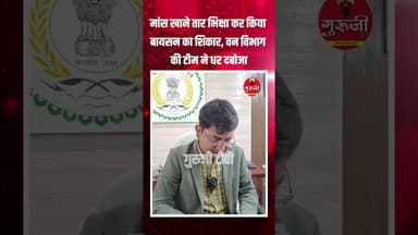 मांस खाने तार भिक्षा कर किया बायसन का शिकार, वन विभाग की टीम ने धर.. #news #breakingnews #gurujitv