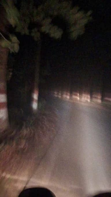 बेलसंड - रुन्नी सैदपुर पथ से कोहरे का दृश्य live