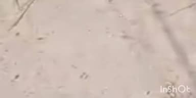 मरौना: किशनपुर में पीसीसी ढलाई में भारी अनियमितता, दर्जनों लोगों ने किया विरोध