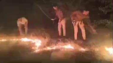 मारवाड़ जंक्शन: मारवाड़ जंक्शन के बाडसा गांव की गोचर भूमि में अज्ञात कारणों से लगी आग, सैकड़ों पेड़ और बाड़े जलकर हुए राख