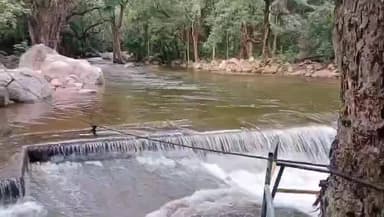 நாங்குநேரி: தொடர் மழை.களக்காடு தலையணையில் சுற்றுலா பயணிகள் குளிக்க தடை. வனத்துறை அறிவிப்பு.