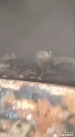 मालपुरा: पचेवर से पारली मार्ग पर बीच सड़क पर चलते ट्रेलर में लगी आग, दमकल ने पाया काबू, टला बड़ा हादसा