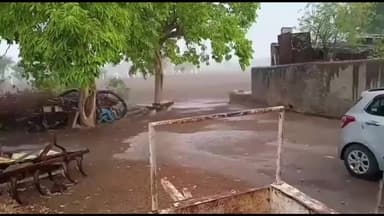 વાંકાનેર: વાંકાનેર ખાતે કપાસની ટેકાના ભાવે ખરીદી કેન્દ્રનો પ્રારંભ, ખેડૂતો પાસેથી નિયમાનુસાર 20.85 ક્વિન્ટલ કપાસની ખરીદી કરવા માંગ