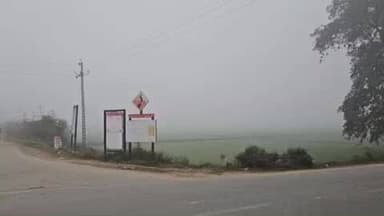 ज्ञानपुर: घने कोहरे की चादर में लिपटी कालीन नगरी भदोही