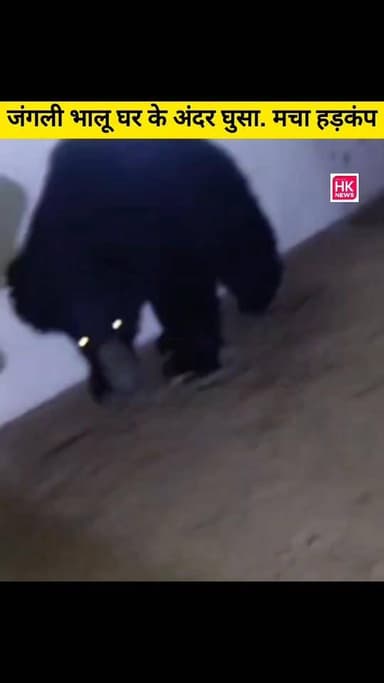 जंगली भालू घर के अंदर घुसा.मचा हड़कंप.सिवनी के दौनावादी गांव का मामला #SeoniNews #breakingnews #followersreelsfypシ゚viral...