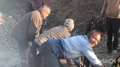 मल्हारगढ़: महू-नीमच हाईवे पर अज्ञात वाहन ने नीलगाय को मारी टक्कर, पिपलियामंडी रेस्ट हाउस के पास हुआ हादसा