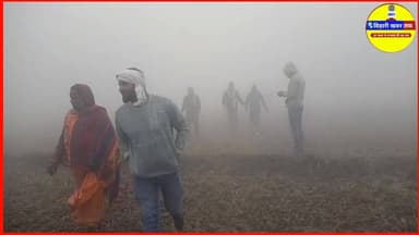 रामगढ़वा मे ड*कै*ती हुआ है। #viralreels #viralvideo #latest #trending #live #raxaul #bihar #Ashokyadav #chamtkar #ajuba