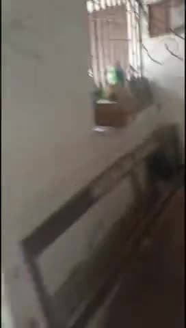 मंसूरचक: मंसूरचक प्रखंड मुख्यालय में आरटीपीएस काउंटर समय पर नहीं खुलता