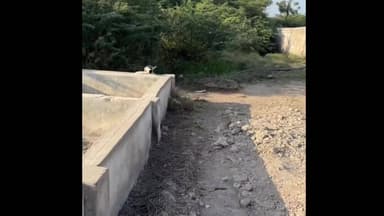 હળવદ: હળવદના સુરવદર ગામે ભર શિયાળે પીવાના પાણીનો ગંભીર પ્રશ્ન, નળમાં જળ ક્યારે આવશે? – નેતાઓને પ્રજાનો સવાલ