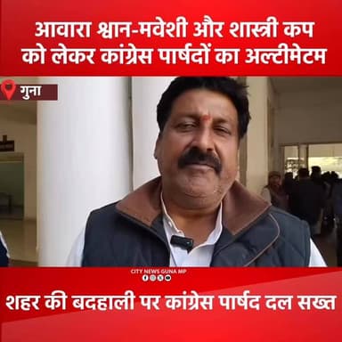 आवारा पशु और शास्त्री कप को लेकर कांग्रेस पार्षदों का अल्टीमेटम
#GunaNews #CityNewsGuna #CongressParshad
#AwaraPashu #S...