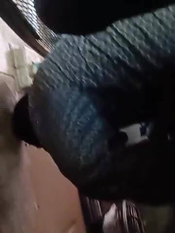 raghopur mein Aisa hal hai Tare nahin badhata Hai