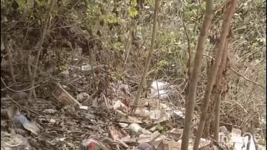 रामनगर: रामनगर तहसील अंतर्गत हरि नारायणपुर के पास अवस्थी ढाबा के पीछे दो विशाल अजगर देखे गए, मचा हड़कंप, वीडियो वायरल