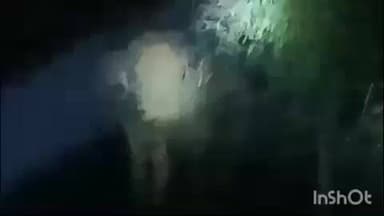 वाड्रफनगर: वाड्राफनगर क्षेत्र में हाथी की मौजूदगी, ग्रामीणों से सतर्क रहने की की गई अपील