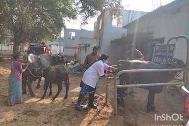 వేపాడ: ఉచిత పసు ఆరోగ్య మరియు గర్భకోస వ్యాధుల చికిత్స శిబిరం,పశు వైద్యఅధికారిని డాక్టర్ గాయత్రి