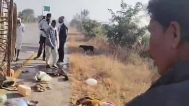 जाफराबाद: राजुर टेंभुर्णी मार्गावर दळेगव्हाण गावाजवळ व फाट्यावर टेम्पो व स्कुटीचा भीषण अपघात,1चा मृत्यू,20 जण जखमी