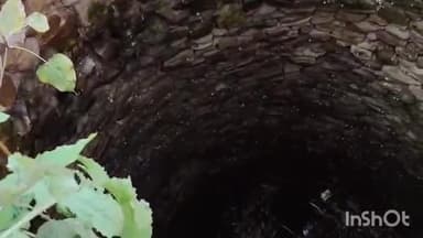 बड़ौदा: बड़ौदा में राजा जी के किले के पास कुएं में गिरा बछड़ा, गौसेवकों ने किया रेस्क्यू