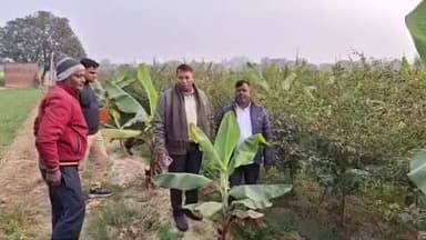 सोहावल: सोहावल के विभिन्न ग्राम सभाओं में किसान पाठशाला का हुआ औचक निरीक्षण