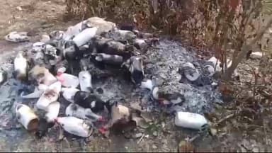 बांसजोर: बरडेगा कादोपानी सड़क किनारे जंगल में मिली पशु उपचार से सम्बंधित अधजली दवाइयां, क्षेत्र में चर्चा