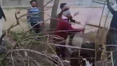 मलसीसर: बिसाऊ नगरपालिका परिसर में गौवंश की दर्दनाक मौत, गुस्साए गौरक्षकों ने किया धरना-प्रदर्शन