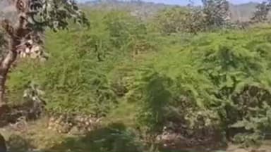 आबू रोड: आबूरोड के धामसरा ग्राम पंचायत के भक्योंरजी गांव में गहराया पेयजल संकट, जल जीवन मिशन के बाद भी नहीं मिली राहत