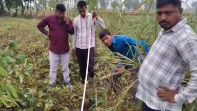 चंदौसी: गांव पुरा में चकरोट की तहसील में की गई थी शिकायत, राजस्व विभाग की टीम पहुंची, आज सड़क का कार्य हुआ संपन्न