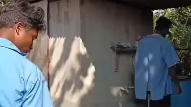 নকশালবাড়ি: নকশালবাড়ির অর্ড চা-বাগানে ডেঙ্গুর প্রকোপ, আক্রান্ত ৫