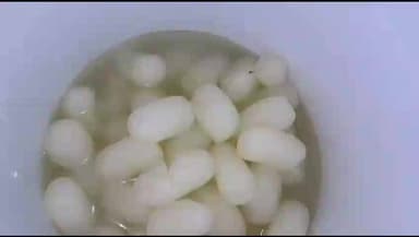 सिंगरौली: बैढन में खाद्य सुरक्षा दल की कार्रवाई, उल्लंघन पर जब्ती, नष्टीकरण और नोटिस जारी, 2 दिन चला अभियान