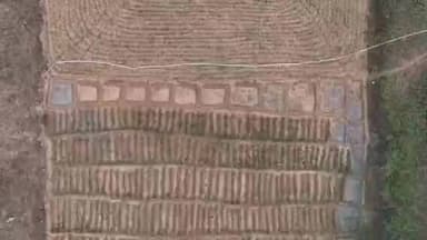 मनातू: बेटा पत्थर, गढ़वत और नागद के जंगली इलाकों में ड्रोन सर्वे से अवैध अफीम की खेती का खुलासा