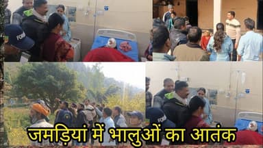 विधानसभा द्वाराहाट के चौखुटिया के जमड़िया में भालुओं ने दोमहिलाओं को किया घायल।प्रशाशन पहुंचा मौकेपर