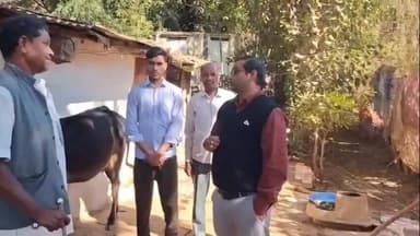 नईसराय: नई सराय में दुग्ध समृद्धि अभियान के दूसरे चरण का शुभारंभ, अधिकारी व कर्मचारी ढाई हजार पशु पालकों से करेंगे भेंट