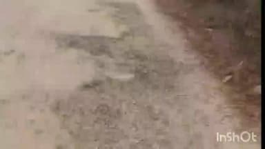 मोहम्मदी: सड़कों पर ध्यान नहीं दिया जा रहा, जिम्मेदार मौन हैं