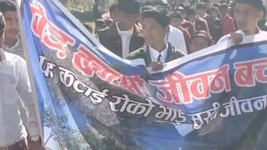 रावला: रावला में हरे पेड़ों की कटाई के खिलाफ स्कूली छात्रों ने सड़कों पर किया प्रदर्शन, तहसील कार्यालय पर पहुंचे