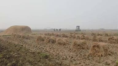 कुटुंबा: एक्सप्रेस-वे से विस्थापित किसानों ने नाइंसाफी का आरोप लगाया, बिना मुआवजा जबरन जोताई का किया विरोध