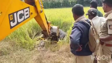 ಹೊಸನಗರ: ಶಾಖವಳ್ಳಿ ವಿದ್ಯುತ್ ಶಾಕ್ ಕೊಟ್ಟು ಕಾಡುಕೋಣ ಹತ್ಯೆ!, ಸ್ಥಳಕ್ಕೆ ಅರಣ್ಯಾಧಿಕಾರಿಗಳ ಭೇಟಿ