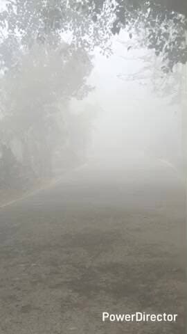बछवारा: घने कोहरे से लोगों का जीवन अस्त-व्यस्त