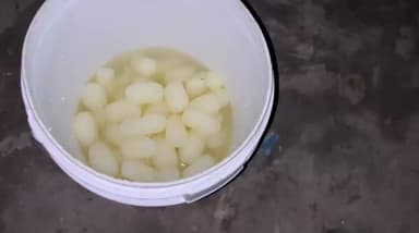 बैढन में खाद्य सुरक्षा उड़नदस्ता की कड़ी कार्रवाई
मानकों के उल्लंघन पर जब्ती, नष्टीकरण और नोटिस, दो दिन चला सघन अभियान