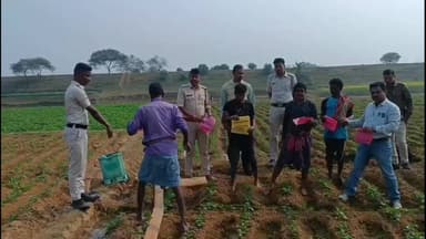 মঙ্গলকোট: পোস্ত চাষ করলেই যেতে হবে শ্রীঘরে, এলাকার কৃষকদের সতর্ক করল মঙ্গলকোট আবগারি বিভাগ