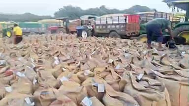 जिले में खरीफ 2025-26 का धान उपार्जन कार्य जारी, कलेक्टर ने मिलर्स के साथ समन्वय के निर्देश दिए