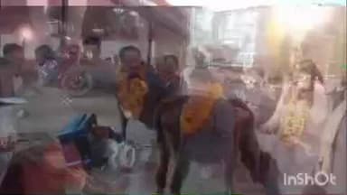 ददाहू: हिमाचल प्रदेश के जिला सिरमौर में जिन गौ माता का दूध पीकर के नेता डांस कर रहे हैं वह आज सड़कों पर है रेणुका जी विधानसभ