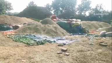 रैपुरा: धान खरीदी में अव्यवस्था: कड़े मानकों के कारण रैपुरा में किसानों की धान तौल नहीं हो पा रही
